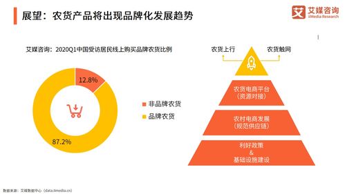 2021年中国农产品电商发展报告 信息咨询视角