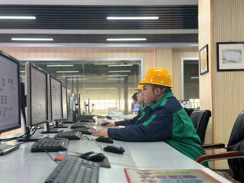 金昌市新型信息化系统正式上线，实现生产数据实时查询与智能分析填报