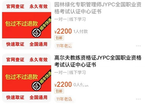 五假公司照常营业 山寨证书乱象背后的监管漏洞