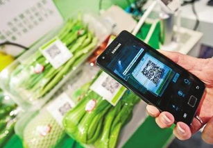 食品信息追溯系统 构建透明供应链，赋能消费选择